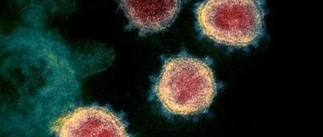 早啊，健康来了！【2021.1.26】