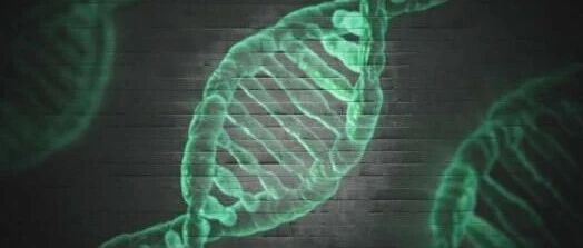 早啊，健康来了！【2021.1.25】