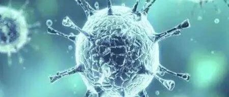 早啊，健康来了！【2022.3.12】