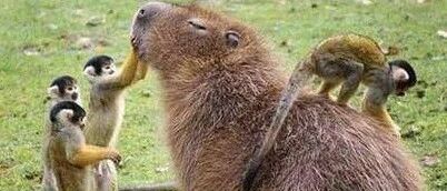 早啊，健康来了！【2020.11.4】