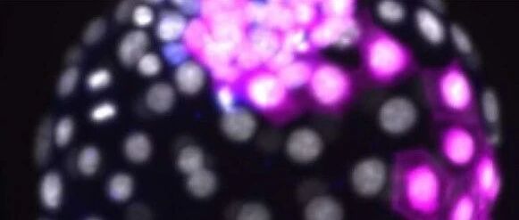 早啊，健康来了！【2021.1.28】