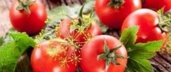 早啊，健康来了！【2021.8.11】