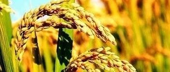 早啊，健康来了！【2021.8.14】