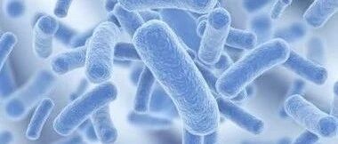 早啊，健康来了！【2020.10.22】