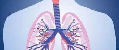 早啊，健康来了！【2022.1.30】