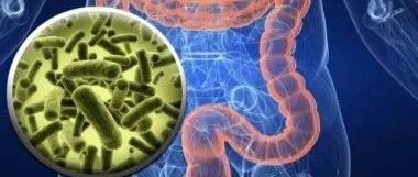 早啊，健康来了！【2020.9.26】