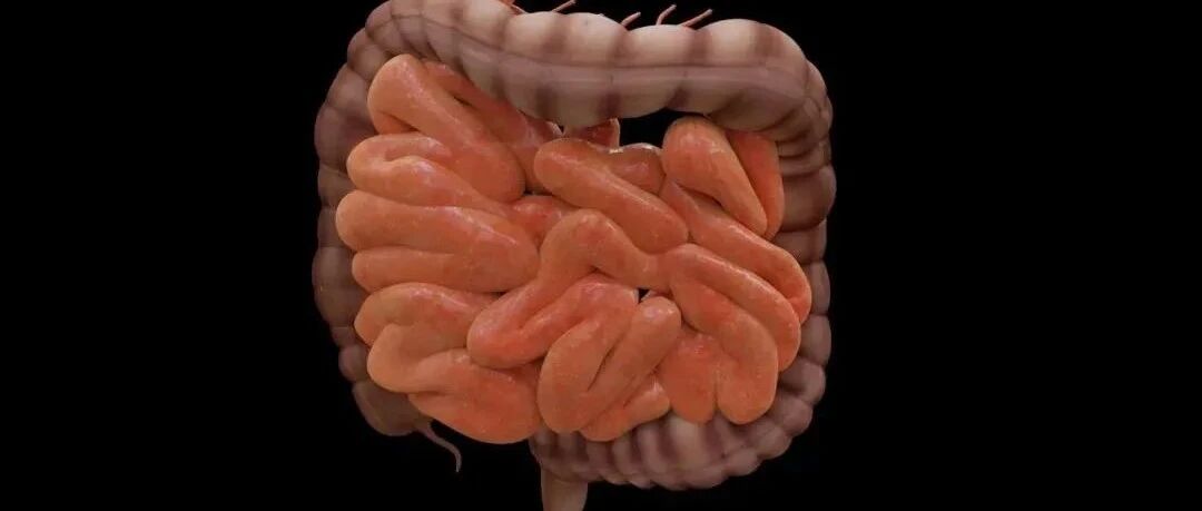 早啊，健康来了！【2022.2.2】