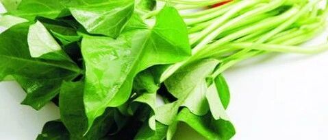 早啊，健康来了！【2021.1.5】