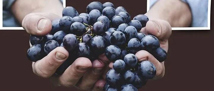 早啊，健康来了！【2022.1.17】