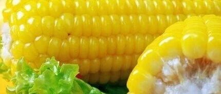 早啊，健康来了！【2021.9.15】