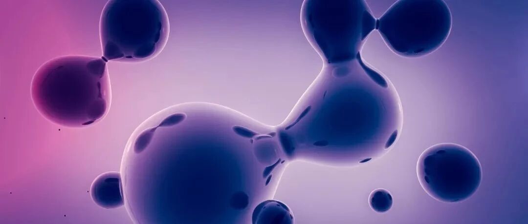 早啊，健康来了！【2022.1.20】