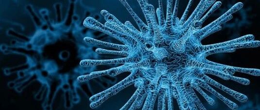 早啊，健康来了！【2020.12.19】