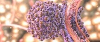 早啊，健康来了！【2020.9.23】