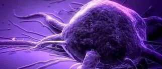 早啊，健康来了！【2022.3.16】