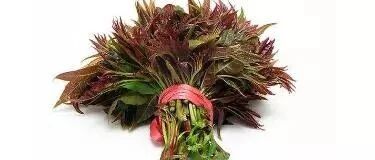 早啊，健康来了！【2022.3.18】