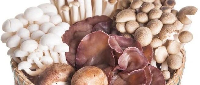 早啊，健康来了！【2021.1.23】