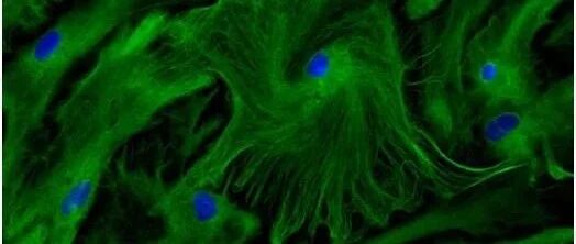 早啊，健康来了！【2021.7.11】