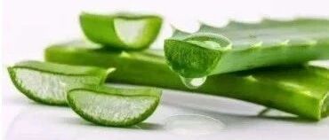 早啊，健康来了！【2021.8.17】