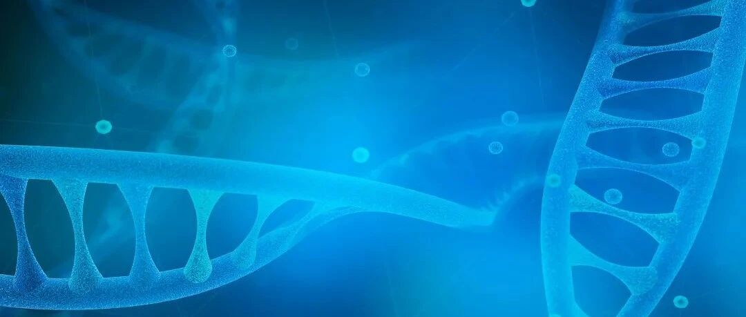 早啊，健康来了！【2022.1.15】