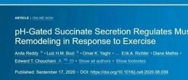 早啊，健康来了！【2020.10.1】