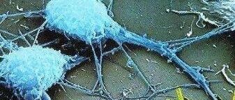 早啊，健康来了！【2020.10.2】