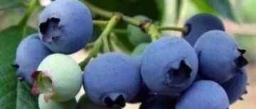 早啊，健康来了！【2020.10.8】