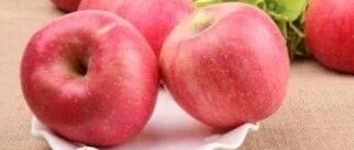 早啊，健康来了！【2021.8.21】