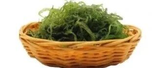 早啊，健康来了！【2021.12.6】