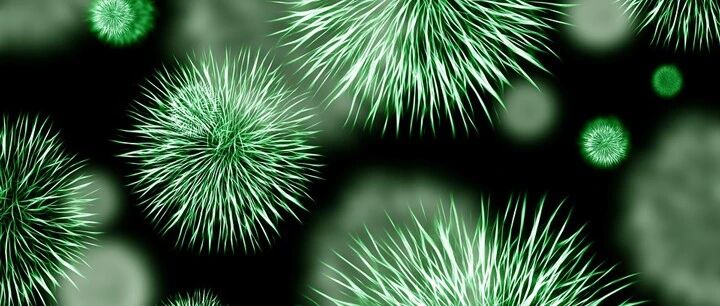 早啊，健康来了！【2021.11.21】