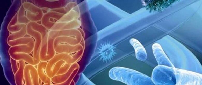 早啊，健康来了！【2020.11.16】