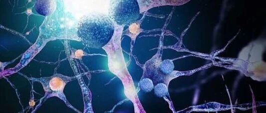 早啊，健康来了！【2021.1.19】