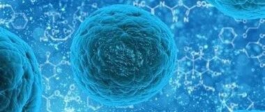 早啊，健康来了！【2021.12.7】