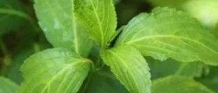 早啊，健康来了！【2022.2.22】