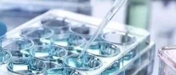 早啊，健康来了！【2020.12.15】