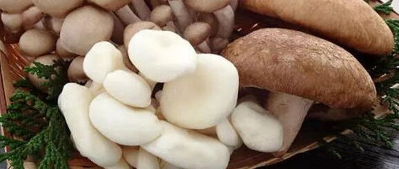 早啊，健康来了！【2020.11.28】