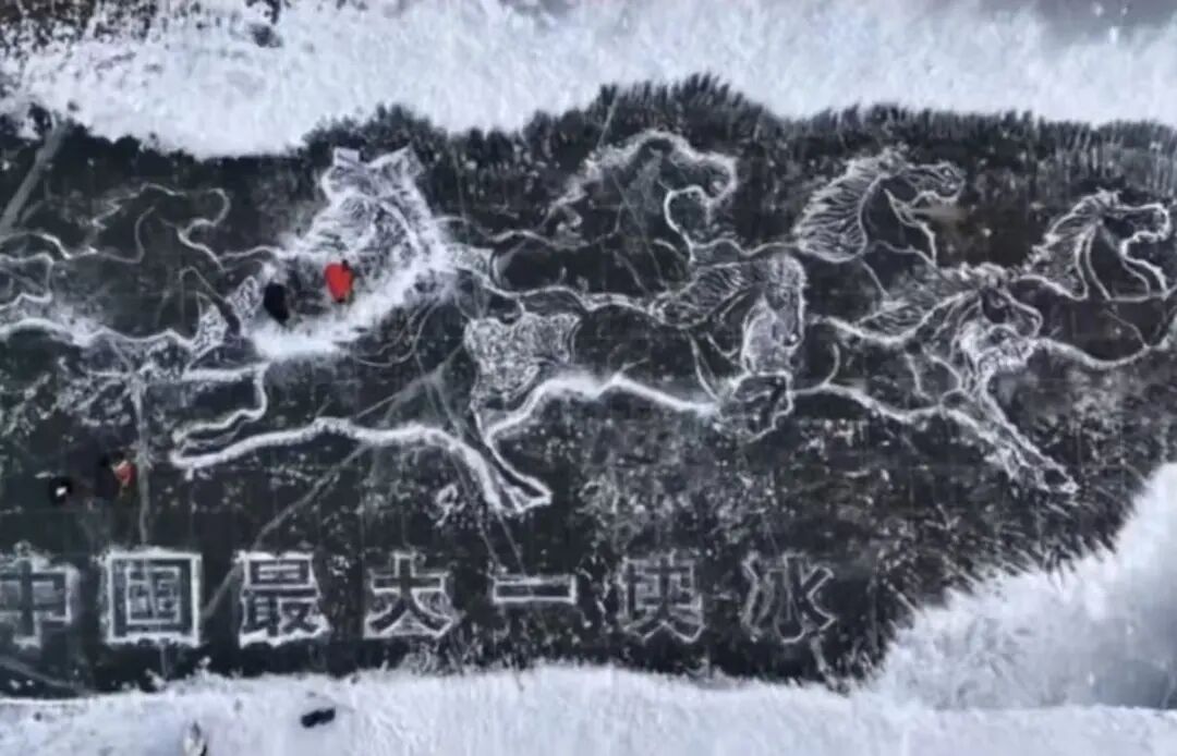 新艺新声 | 陈艳东：不想当艺术家的水暖工不是好师傅 第8张