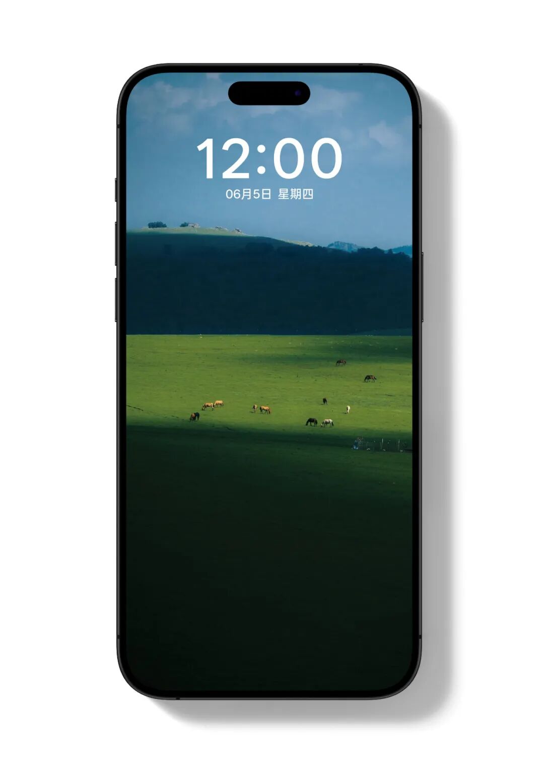 未标题-6_画板 1.jpg