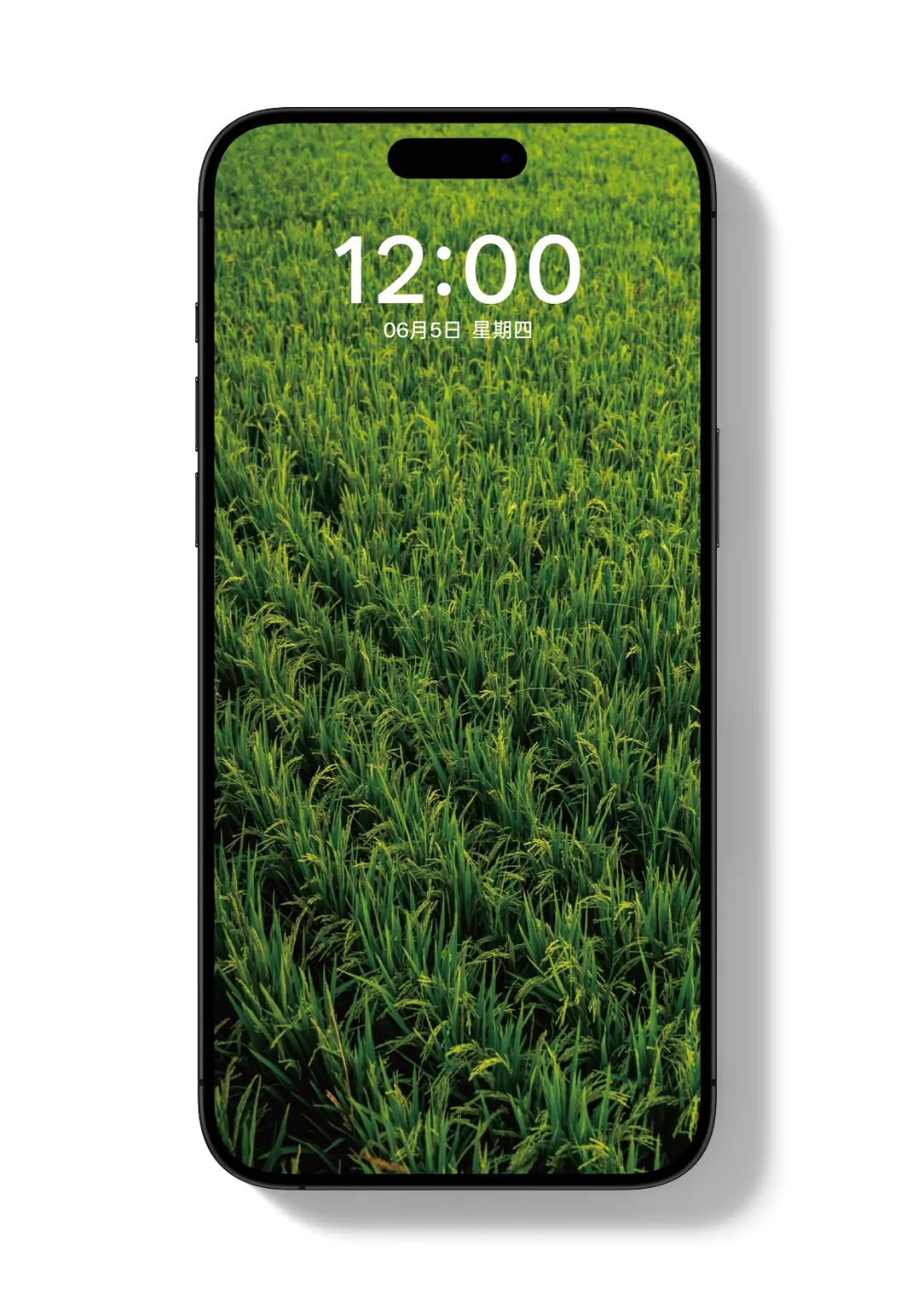 未标题-4_画板 1.jpg