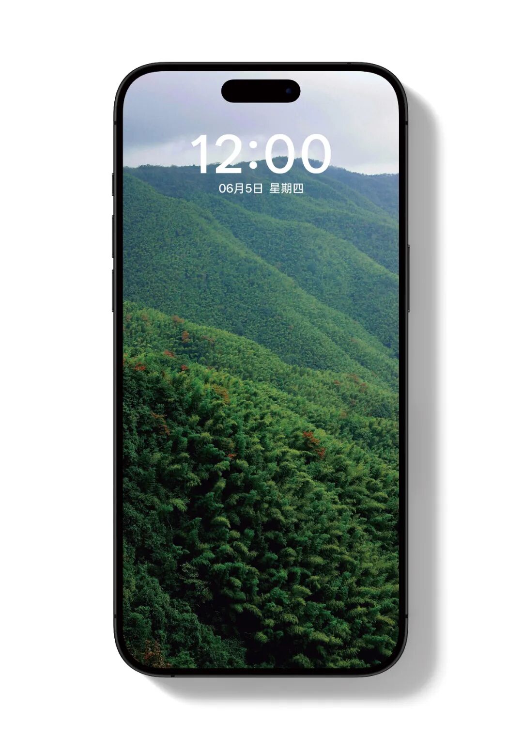 未标题-10_画板 1.jpg