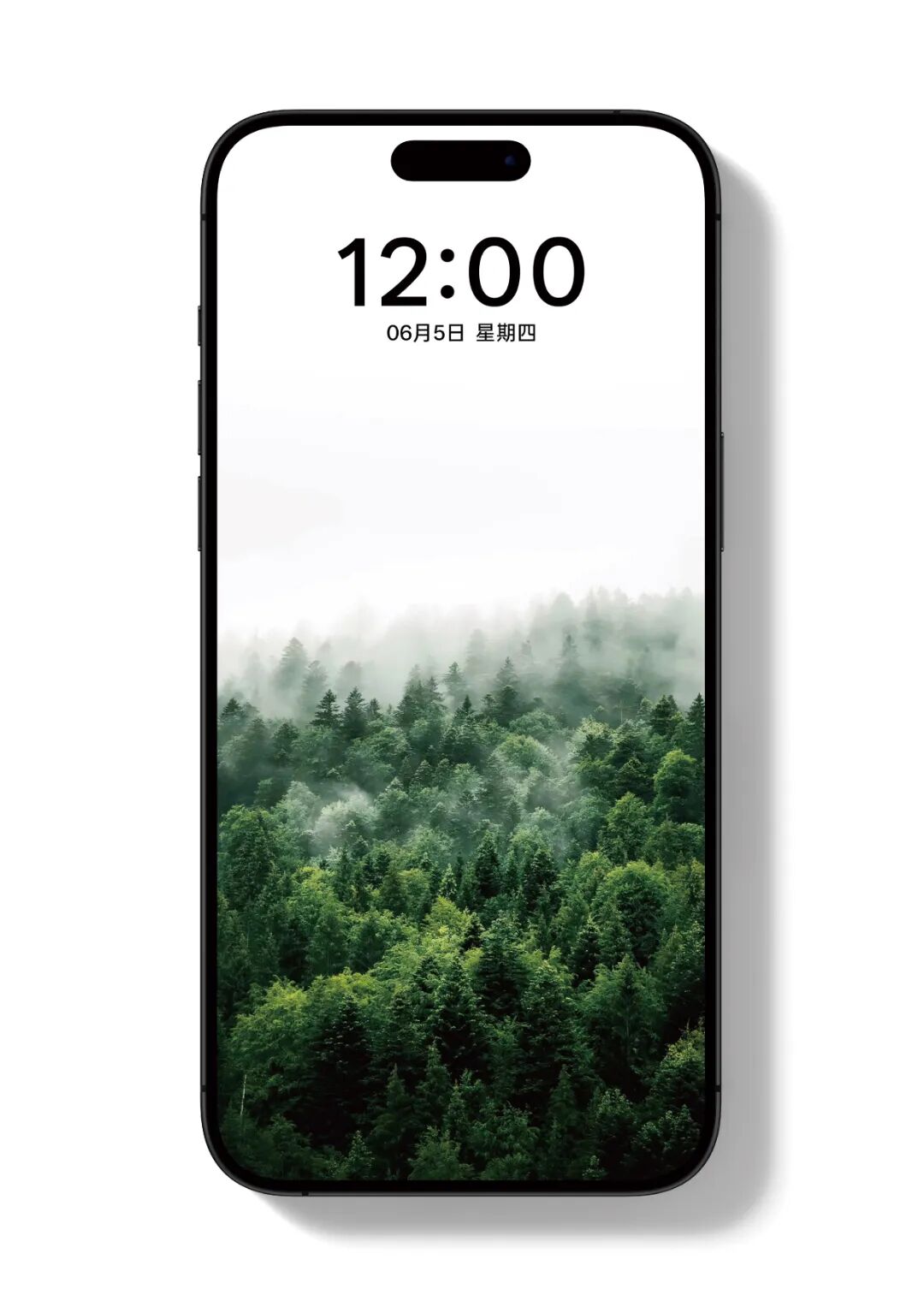 未标题-9_画板 1.jpg