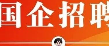 【社招】中智安信集团有限公司社会公开招聘