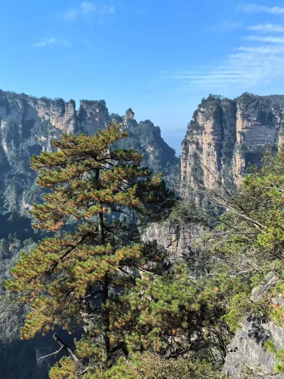 享受小微企业优惠政策的小规模纳税人：销售全部开票，没有成本费用发票怎么办？