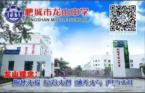 肥城市龙山中学全称_肥城市龙山中学_龙山中学肥城市主任