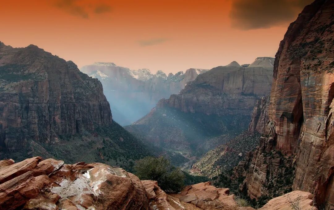 药性最好的中药一览表，太珍贵了！