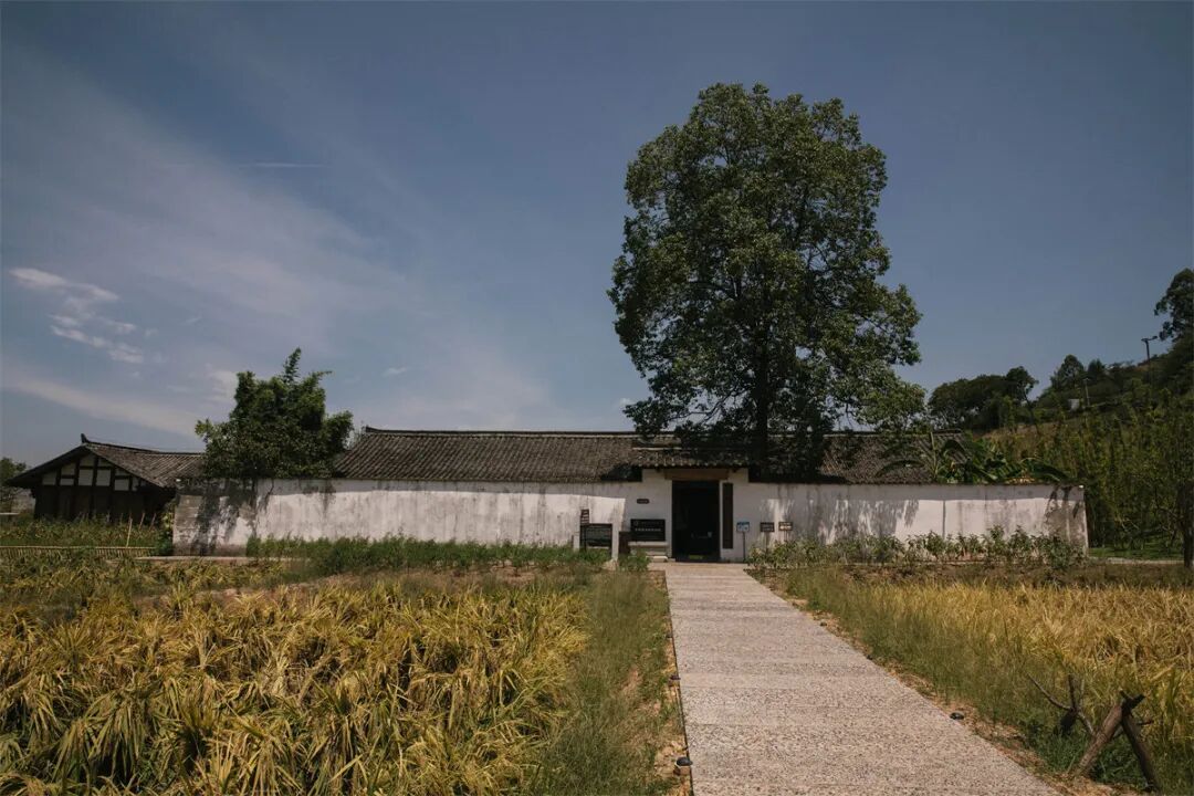 营造学社，在战火之中的行走与研究