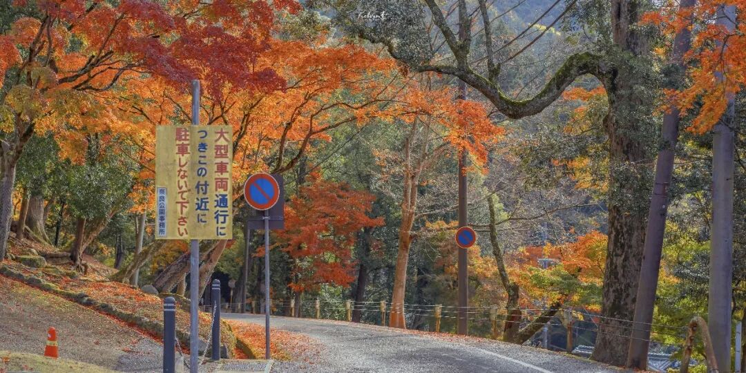 自用高清ipad壁纸｜8K高清平板电脑壁纸100张