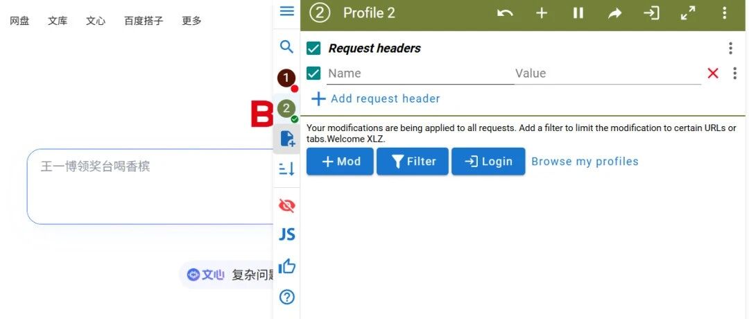 Example Image