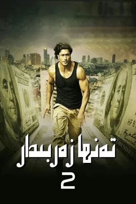 تەنھا زەربىدار 2