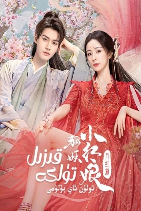 قىزىل تۈلكە : تۇلۇن ئاي بۆلۈمى