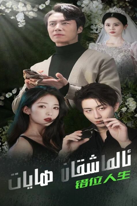 ئالماشقان ھايات